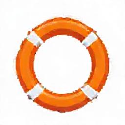 Life Ring